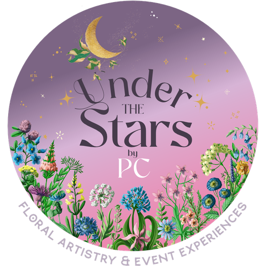 Under The Stars by PC