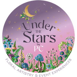 Under The Stars by PC